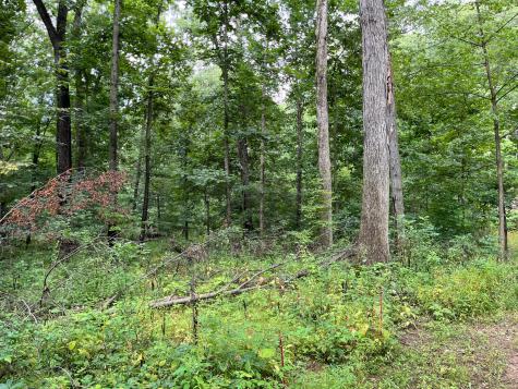 12600 Gilchrist Road Mount Vernon OH 43050