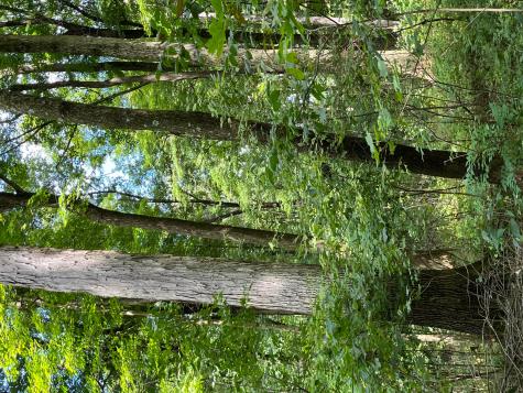 12600 Gilchrist Road Mount Vernon OH 43050