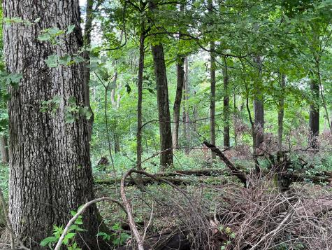 12600 Gilchrist Road Mount Vernon OH 43050