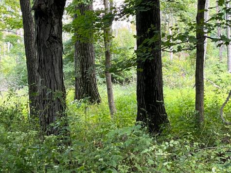 12600 Gilchrist Road Mount Vernon OH 43050