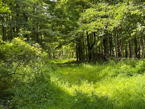 12600 Gilchrist Road Mount Vernon OH 43050