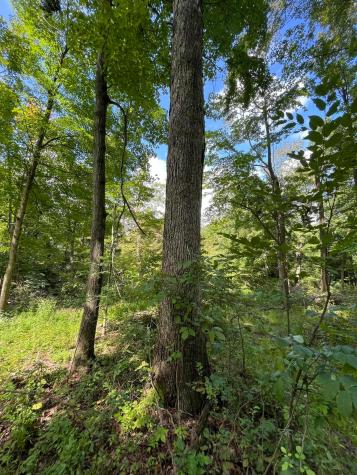 12600 Gilchrist Road Mount Vernon OH 43050