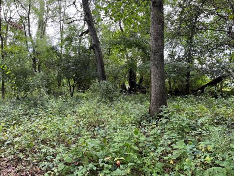 12600 Gilchrist Road Mount Vernon OH 43050