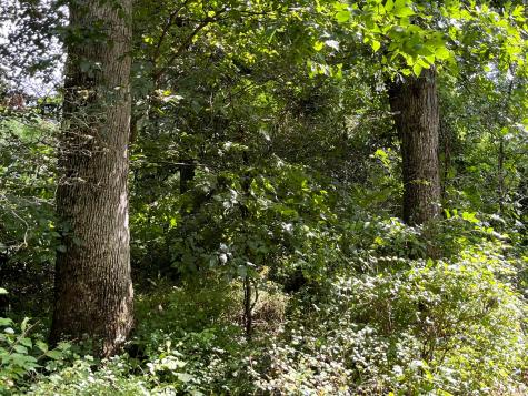 12600 Gilchrist Road Mount Vernon OH 43050