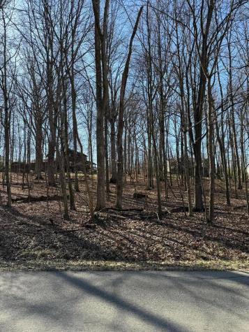 Lot 242 Valleyridge Drive Howard OH 43028