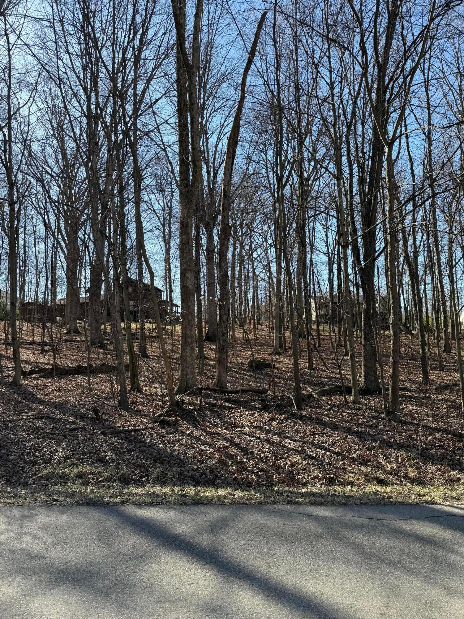 Lot 242 Valleyridge Drive Howard OH 43028