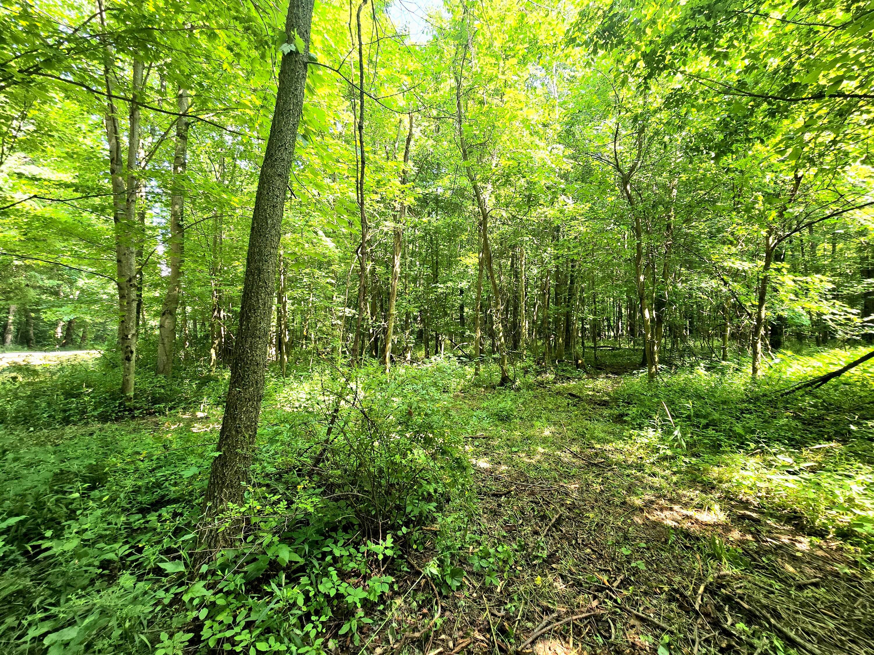 9026-1 Gregg Road Fredericktown OH 43019
