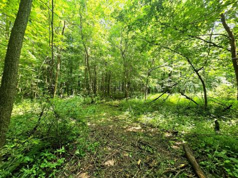 9026-1 Gregg Road Fredericktown OH 43019