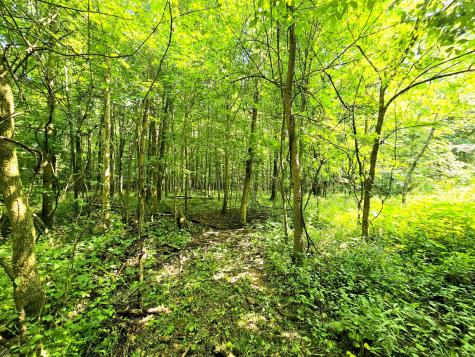 9026-1 Gregg Road Fredericktown OH 43019