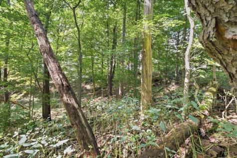 0 Hilltop Drive Fredericktown OH 43019