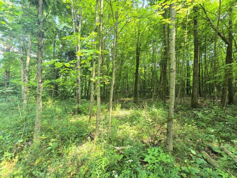 9026 Gregg Road Fredericktown OH 43019