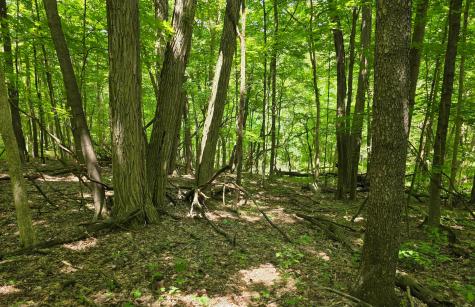 0 Dunham Road Mount Vernon OH 43050