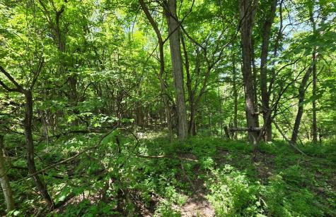 0 Dunham Road Mount Vernon OH 43050