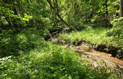 0 Dunham Road Mount Vernon OH 43050