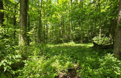 0 Dunham Road Mount Vernon OH 43050