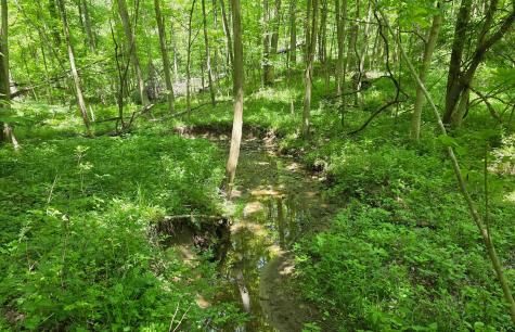 0 Dunham Road Mount Vernon OH 43050