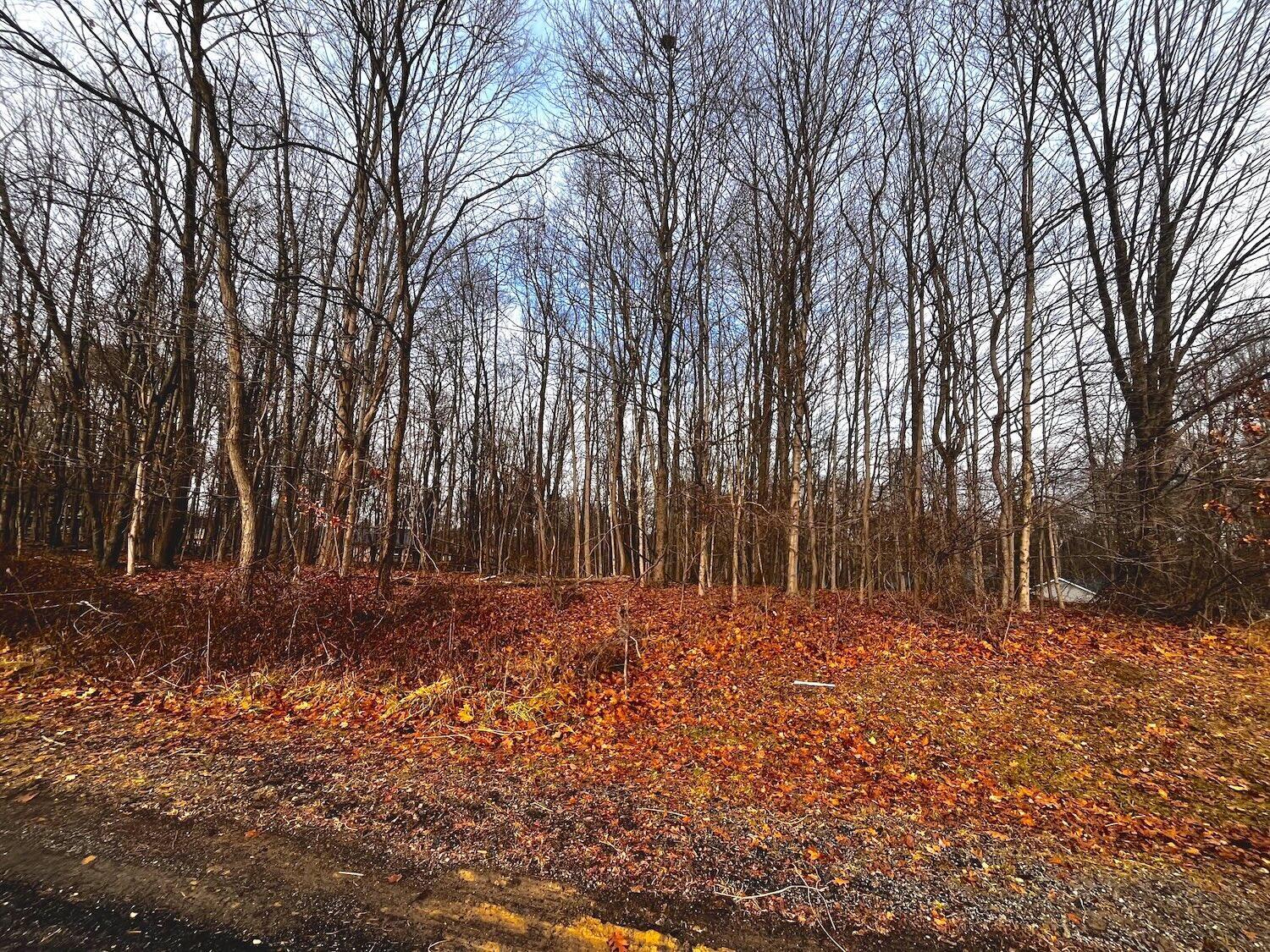 711 Crestrose Circle Howard OH 43028