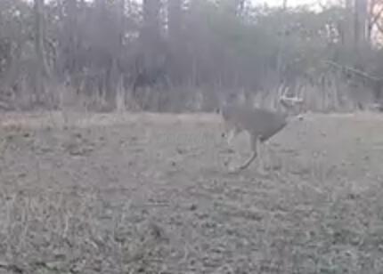 0 Dunham Road Mount Vernon OH 43050