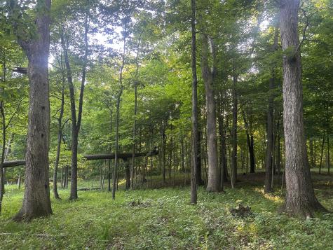 12929 Pleasant Valley Road NE Utica OH 43080