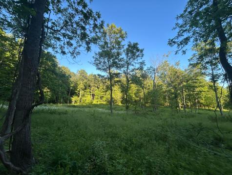12929 Pleasant Valley Road NE Utica OH 43080