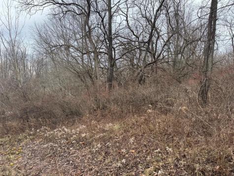 0 Dunham Road Mount Vernon OH 43050