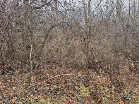 0 Dunham Road Mount Vernon OH 43050