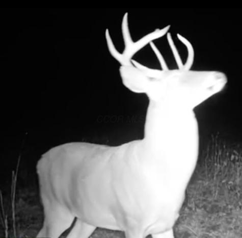 0 Dunham Road Mount Vernon OH 43050