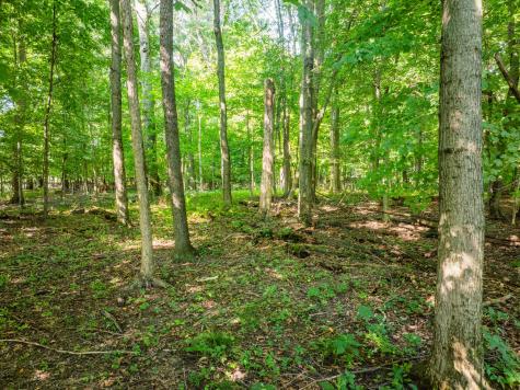 0 Sycamore Road Centerburg OH 43011
