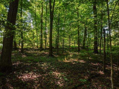 0 Sycamore Road Centerburg OH 43011