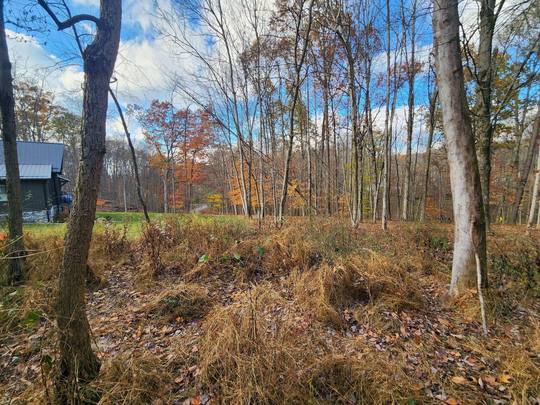 0 King Beach Drive Howard OH 43028