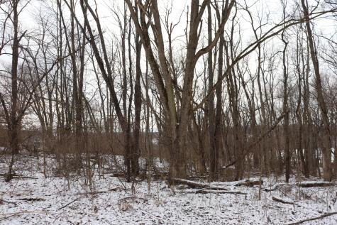 0 Mcintosh Court Howard OH 43028