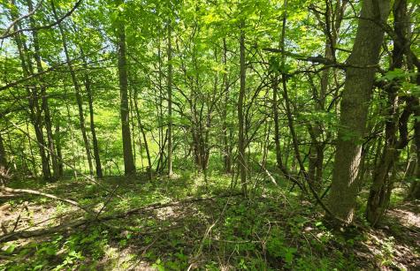 0 Dunham Road Mount Vernon OH 43050