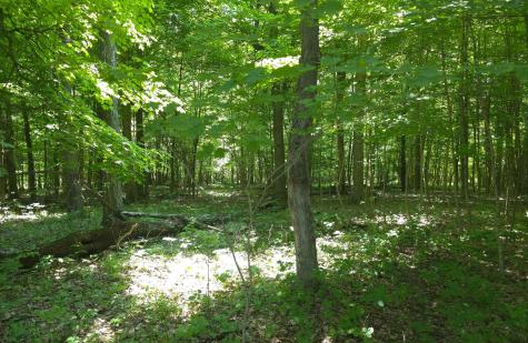 0 Dunham Road Mount Vernon OH 43050