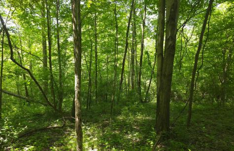 0 Dunham Road Mount Vernon OH 43050