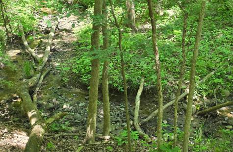 0 Dunham Road Mount Vernon OH 43050