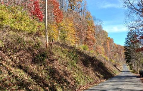 0 Lower Gambier Road Mount Vernon OH 43050