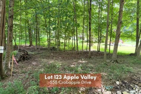 558 Crabapple Drive Howard OH 43028