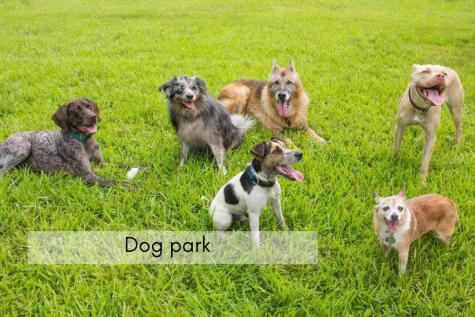 558 Crabapple Drive Howard OH 43028