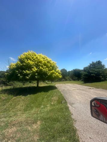 406 Glenmonte Drive Howard OH 43028