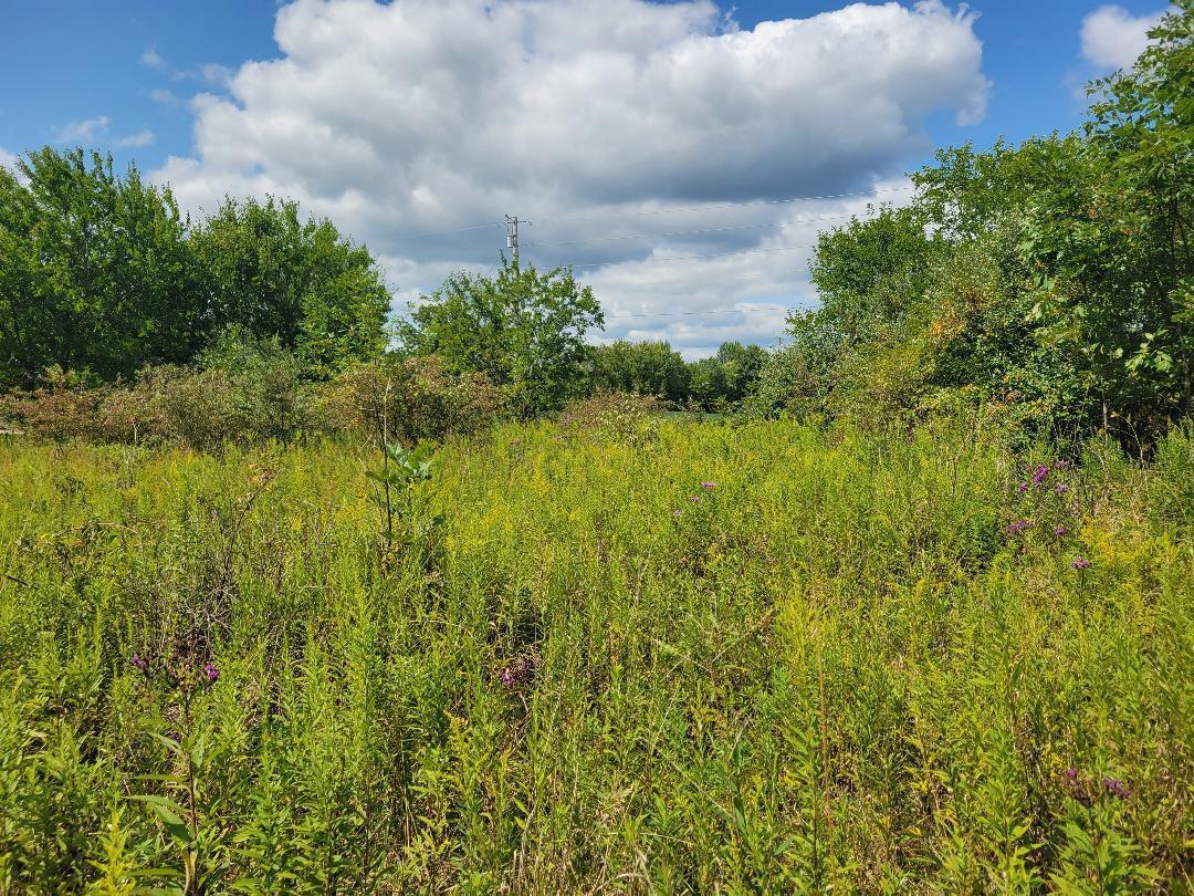 4838 County Road 29 Galion OH 44833