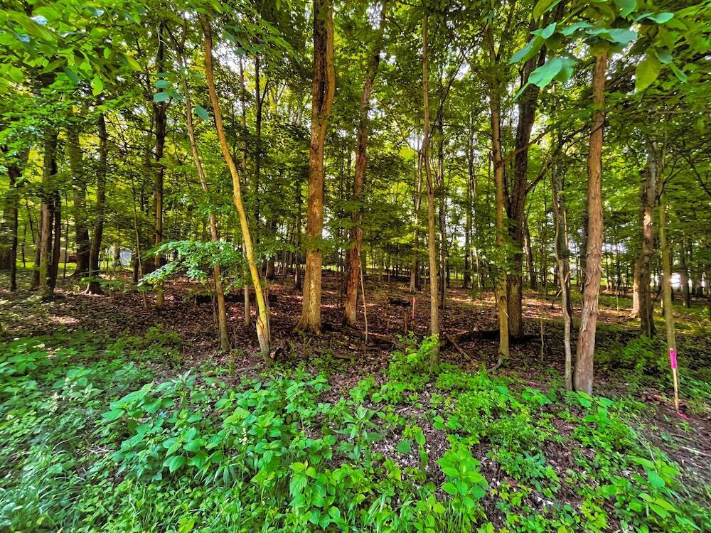 399 Valleyridge Drive Howard OH 43028