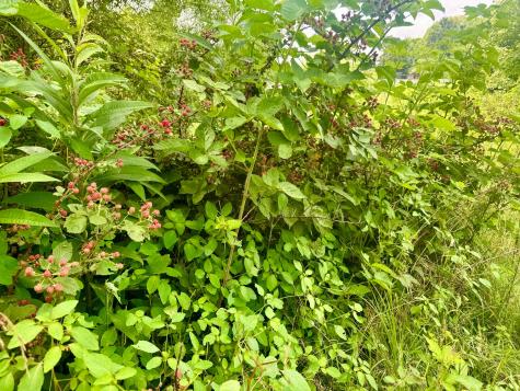 0 Indian Hills Road Mount Vernon OH 43050