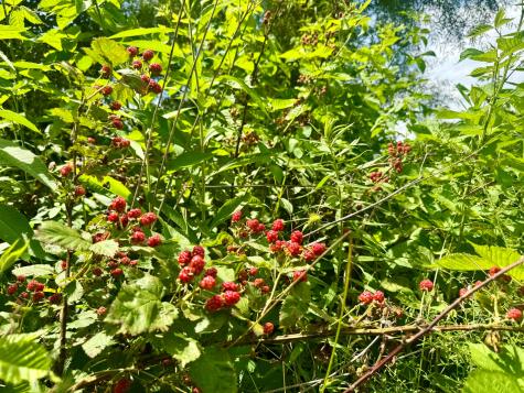 0 Indian Hills Road Mount Vernon OH 43050