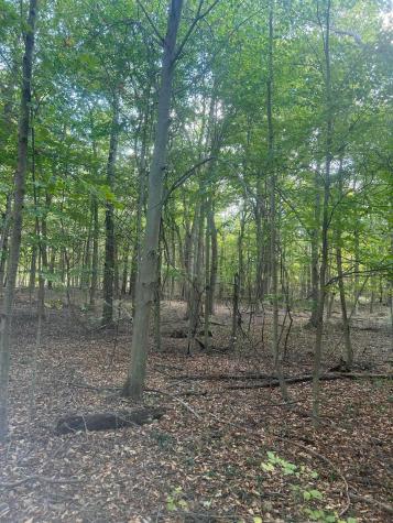 682 County Road 204 Centerburg OH 43011