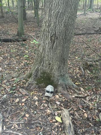 682 County Road 204 Centerburg OH 43011