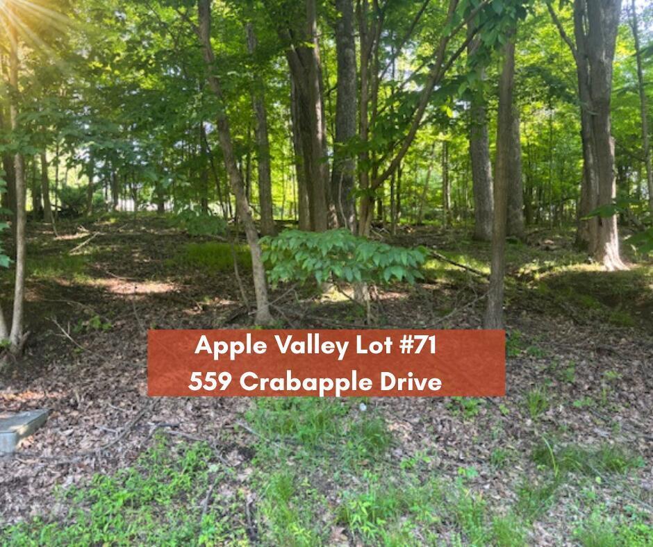 559 Crabapple Drive Howard OH 43028