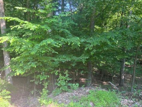 98 Valley Court Howard OH 43028