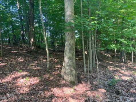 98 Valley Court Howard OH 43028