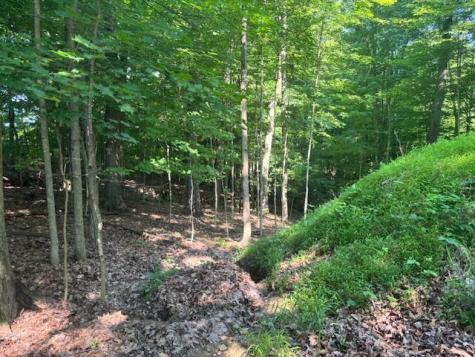 98 Valley Court Howard OH 43028