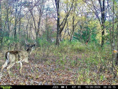 334 State Route 314 Centerburg OH 43011